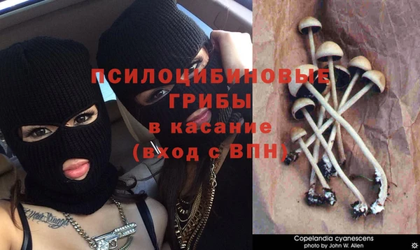 тгк Лиски