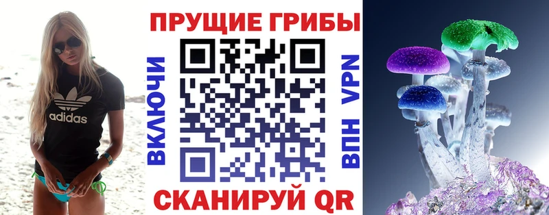 мега как зайти  Медынь  Псилоцибиновые грибы Cubensis 